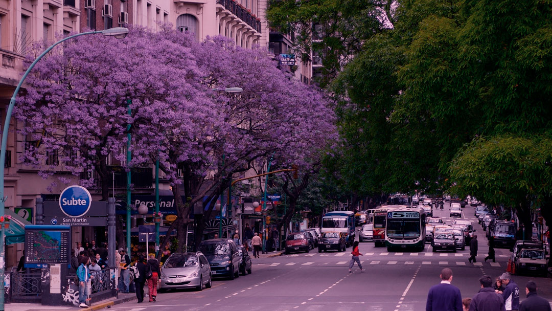Motivos pelos quais as cidades precisam de mais árvores