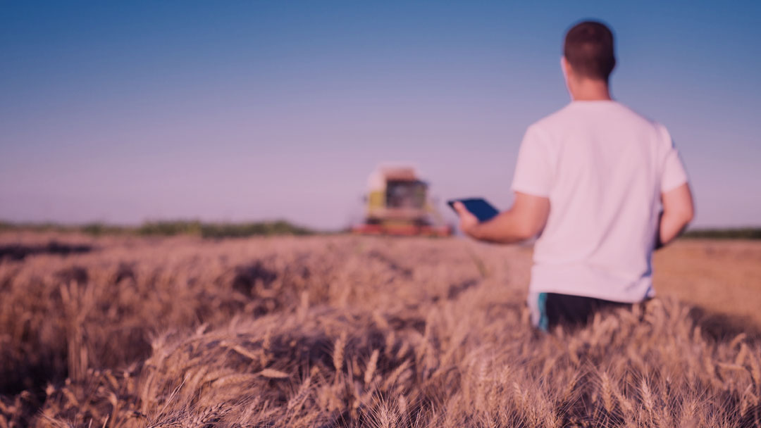 Agrosmart: Um sistema de monitoramento que pode impulsionar o agronegócio brasileiro