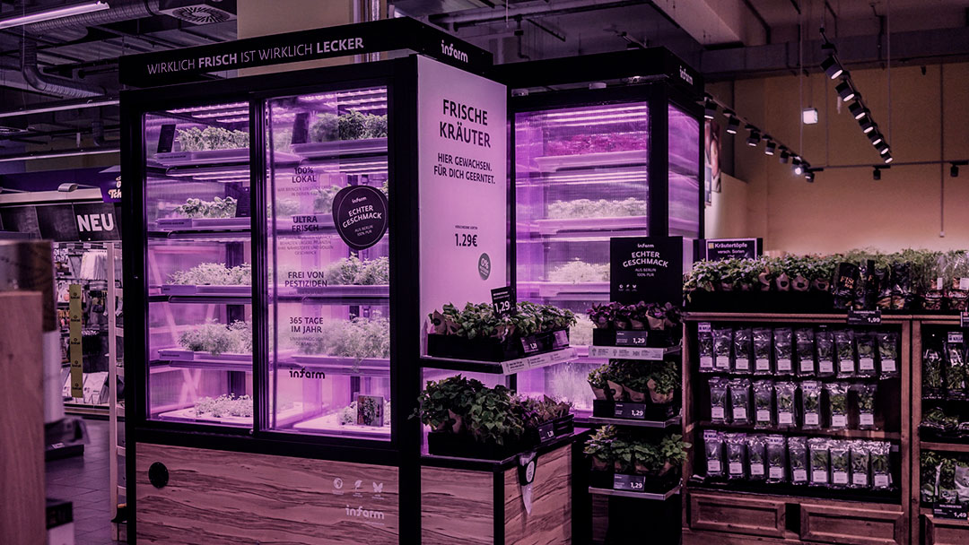 Mais “local” impossível: Criação de startup alemã cultiva verduras e temperos dentro de supermercados
