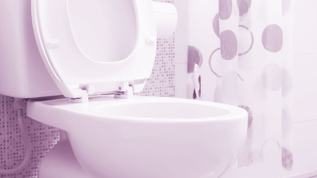 Banheiros Mudam Vidas anuncia vencedores de programa com foco em saneamento básico