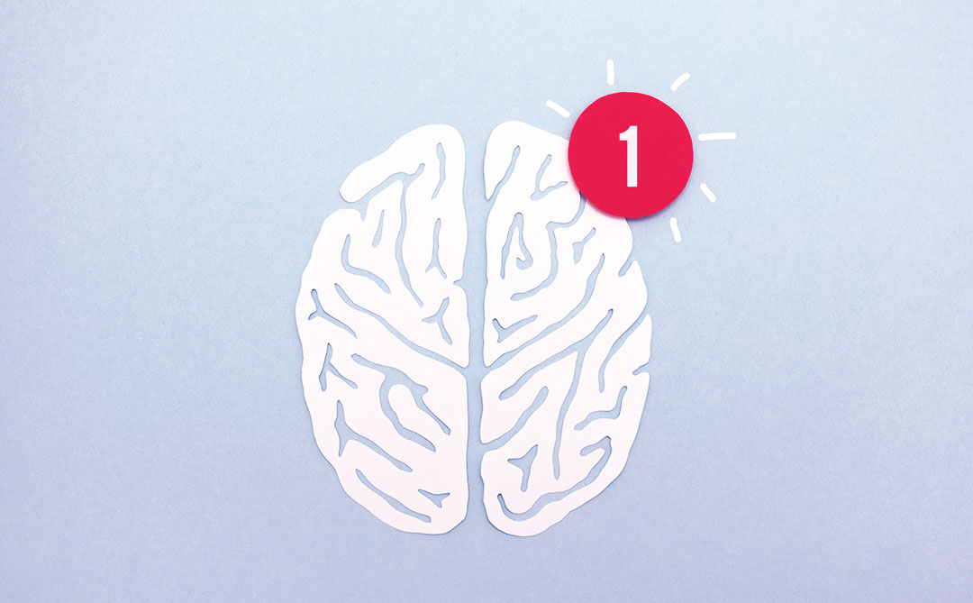 Entre sentimentos, decisões e memórias: TED Talks sobre nosso cérebro