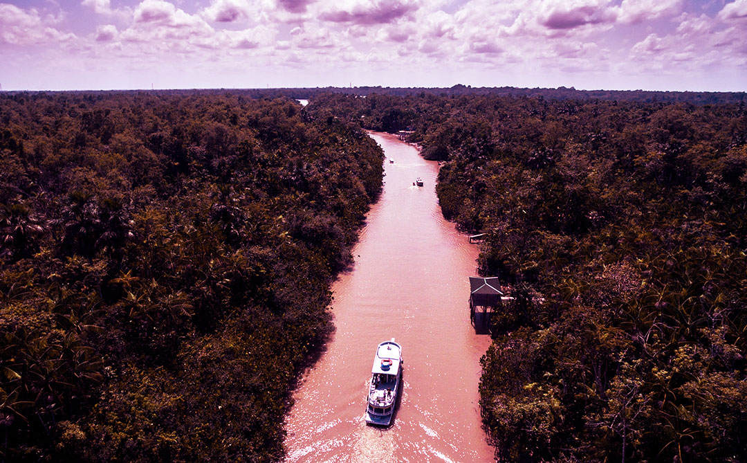 A importância da conservação da biodiversidade aquática na Amazônia