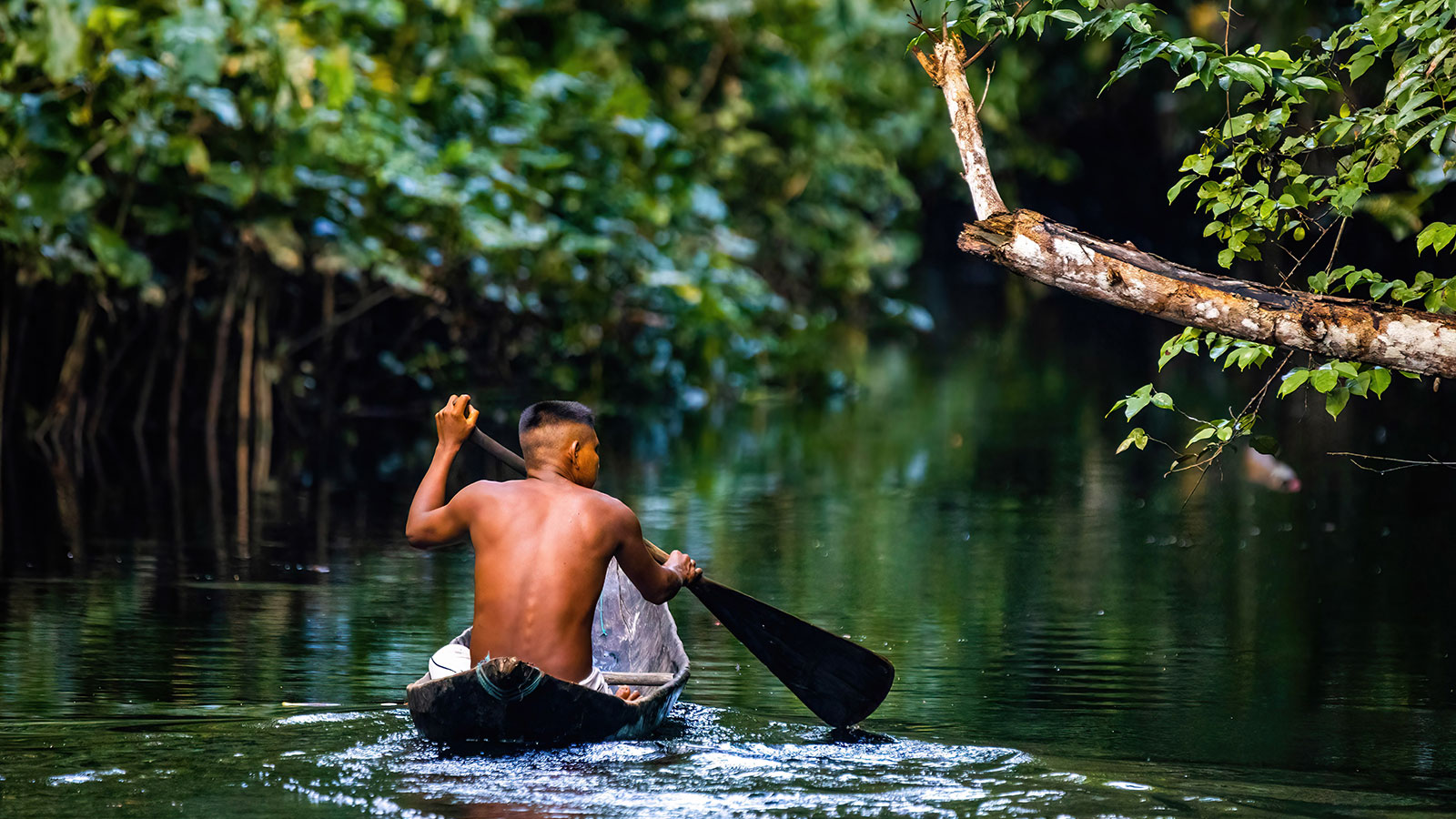 Somos Amazônia: saberes, desafios e visão de futuro dos povos da floresta