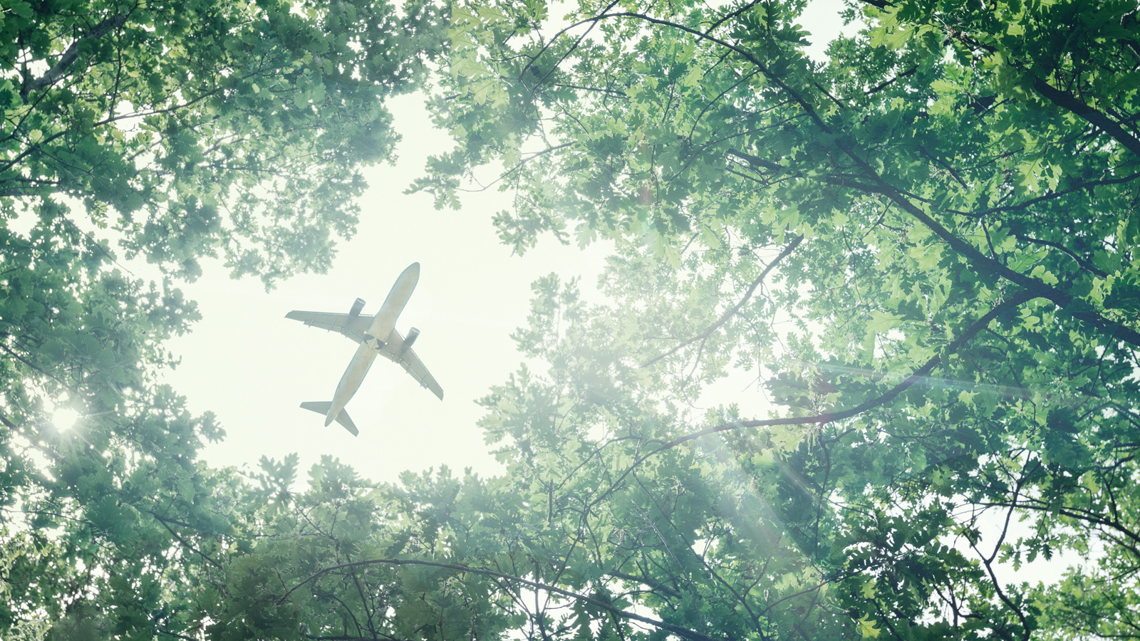 O combustível de aviação sustentável é realmente sustentável?
