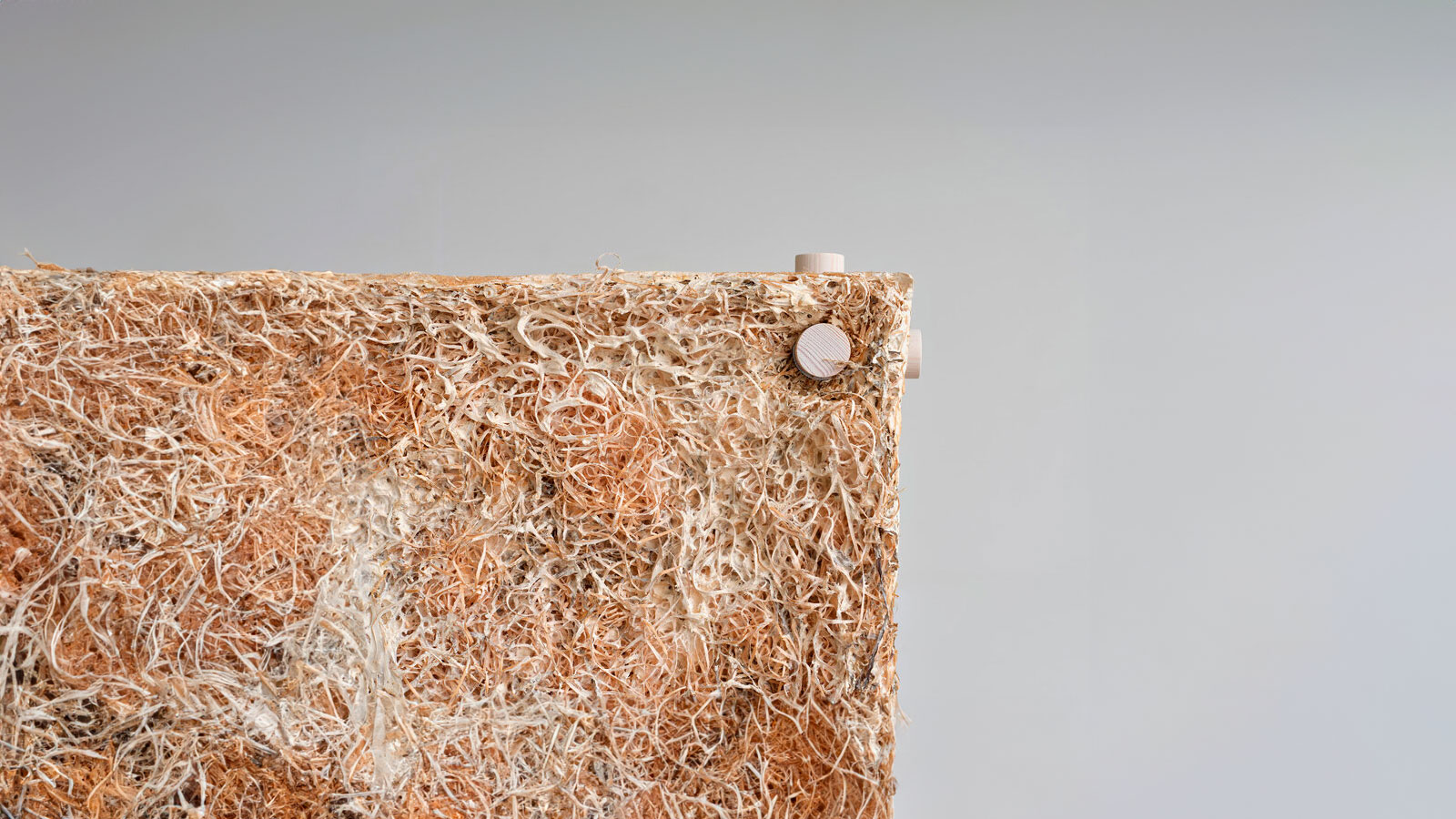 A arte do silêncio: Um painel absorvedor de som de micélio de cogumelo, cânhamo e salgueiro