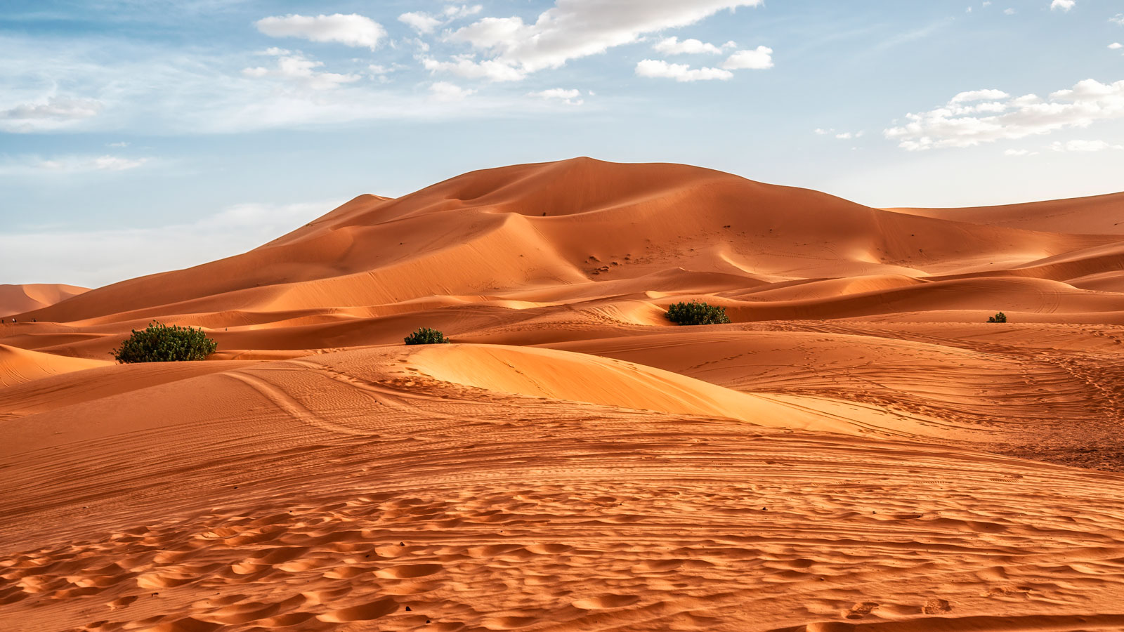 Por que não instalar fazendas solares no Deserto do Saara?