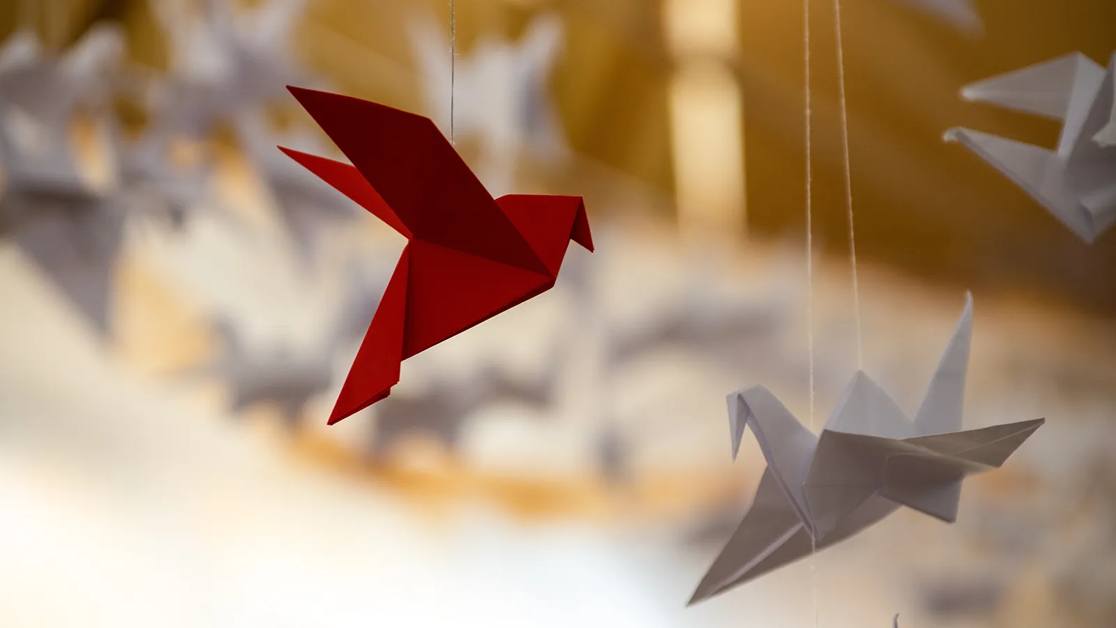 Origami: dobraduras que curam e constroem com propósito