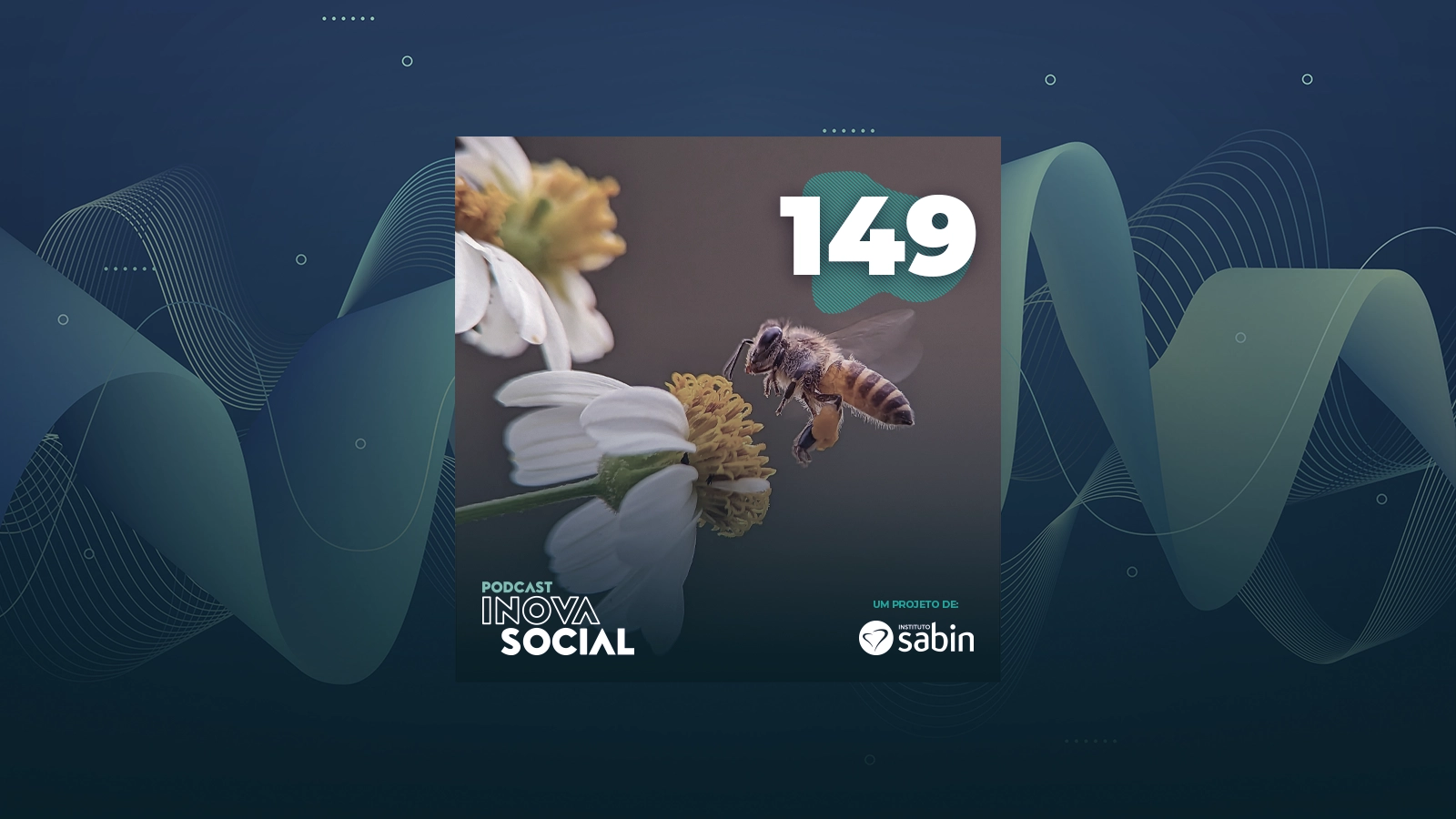 Podcast #149 | A apicultura sustentável e a importância ambiental das abelhas