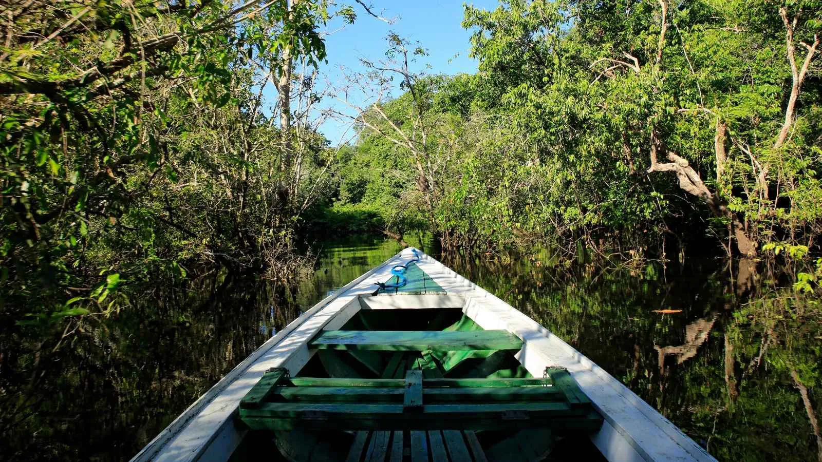Atlas da Bioeconomia reúne panorama inédito da Amazônia Legal