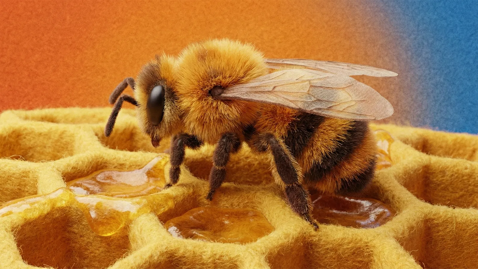 Do campo ao prato: como a apicultura familiar sustenta a biodiversidade