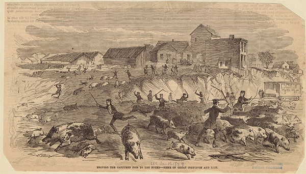 Como Nova York reinventou a forma de lidar com o próprio lixo ao longo do tempo