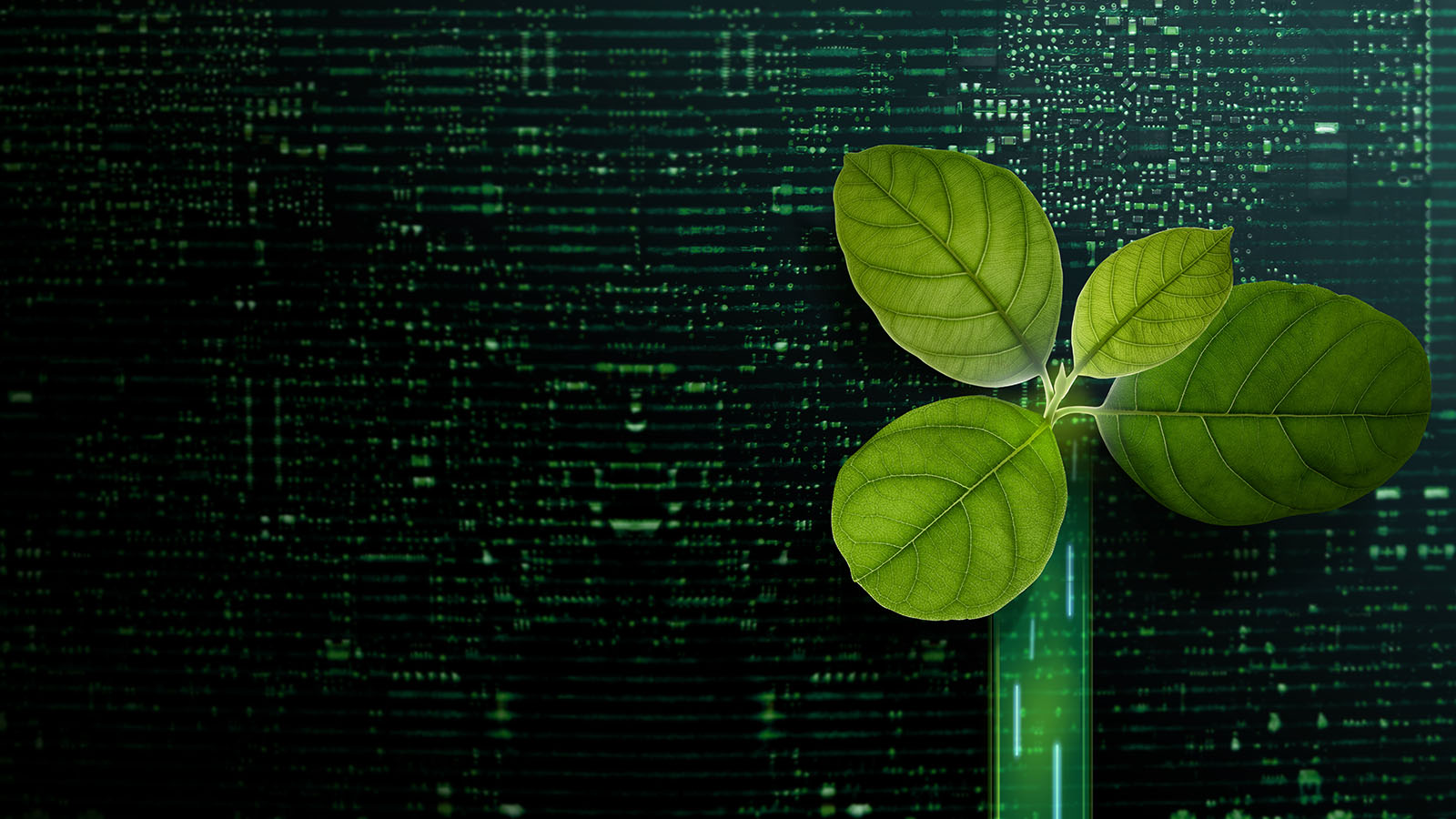 Tecnologia e impacto nas empresas mais inovadoras de 2026
